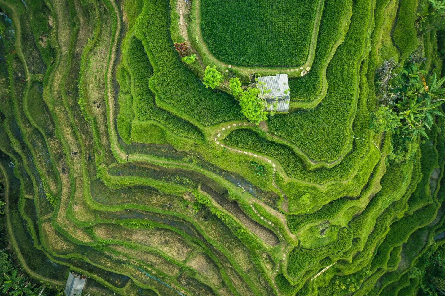 Helping student with quires